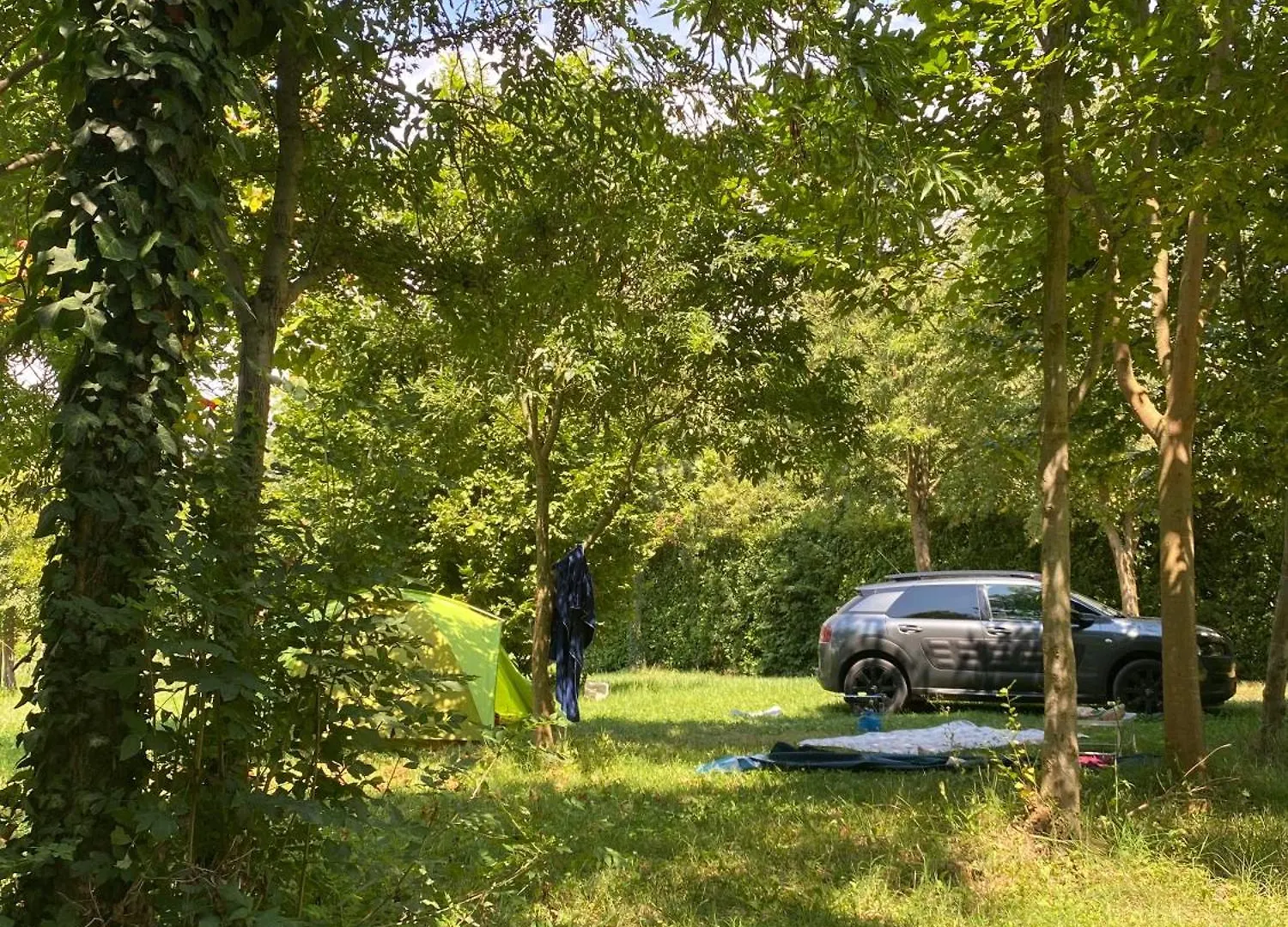 Camping Biologico La Buona Terra Saccolongo 0*,