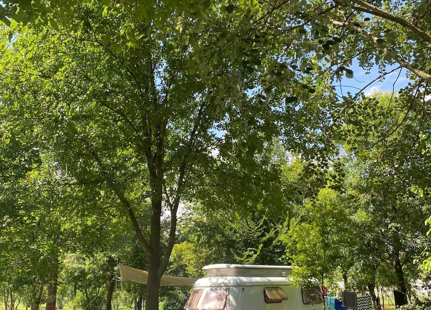 Camping Biologico La Buona Terra Saccolongo Olaszország